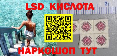 гидра Будённовск
