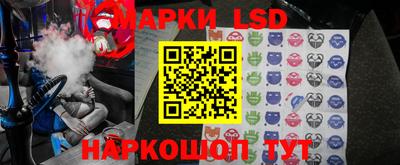 гидра Будённовск