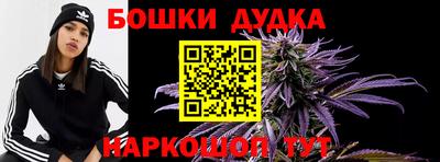 гидра Будённовск